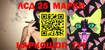 шишки Пенза