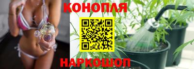 крисы Пыть-Ях
