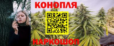 шишки Пенза