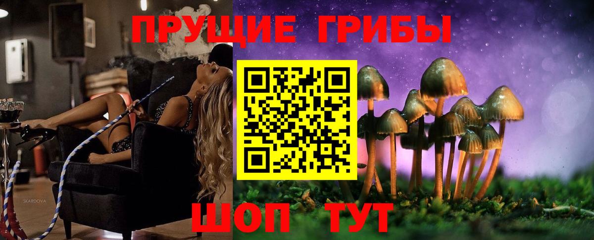 Ростов Великий  Псилоцибиновые грибы MAGIC MUSHROOMS  Вход с VPN 