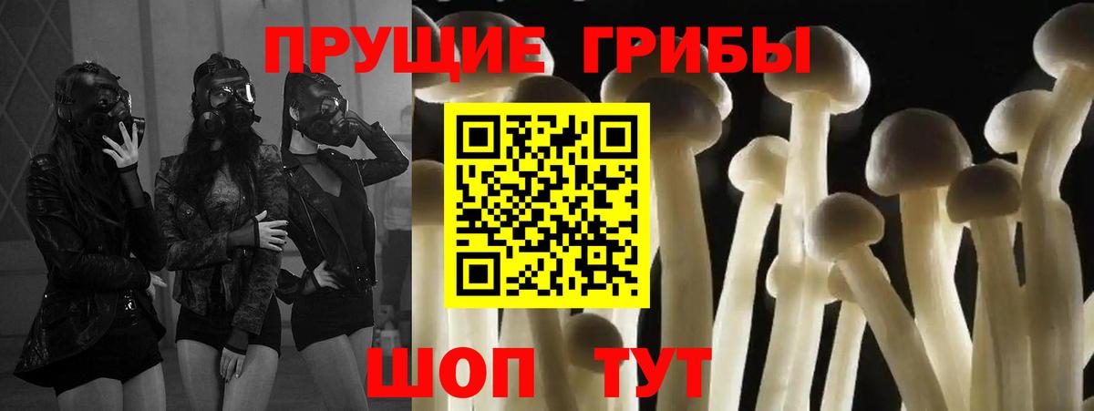 Галлюциногенные грибы GOLDEN TEACHER Ростов Великий